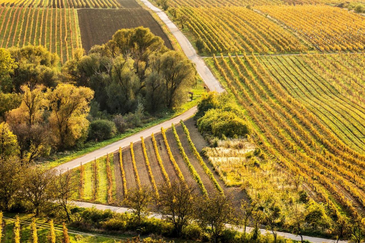 Vinoza - Ubytovani A Vinny Sklep Velke Bilovice Rulandova Εξωτερικό φωτογραφία